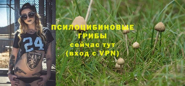 apvp Алзамай