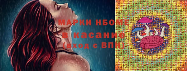 apvp Алзамай