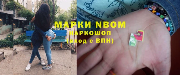 apvp Алзамай